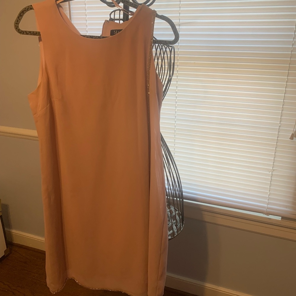 Beautiful Pale Pink  Dress